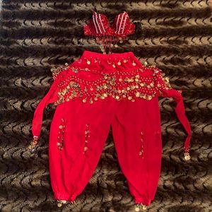 Belly dancer costume